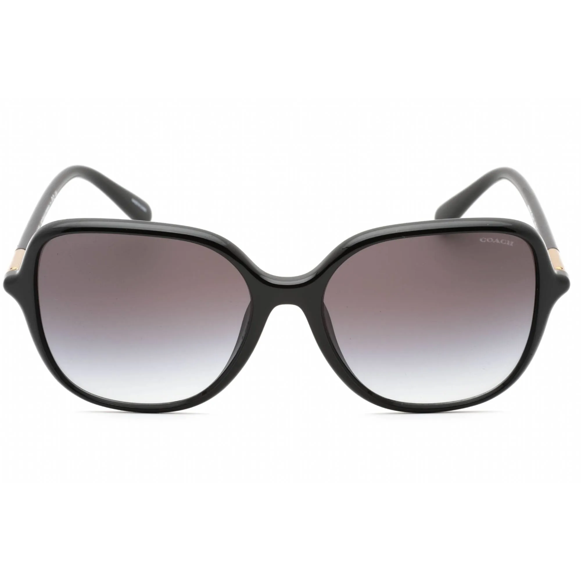 Coach Women's Sunglasses - Black Plastic Butterfly Full Rim Frame | 0HC8344U 50028G